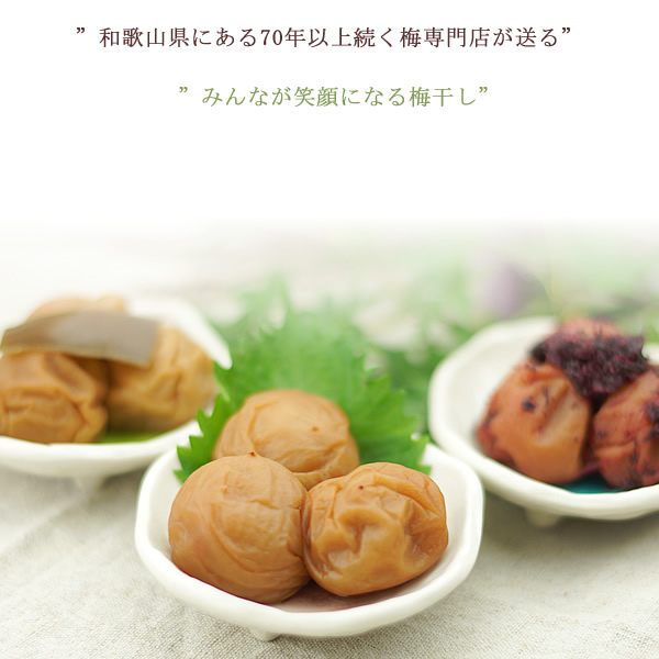 �����δ�������ߴ���������Ź�ο�����Ź���ե롼���ߴ���ץ����եȤˤ��ޤ�����